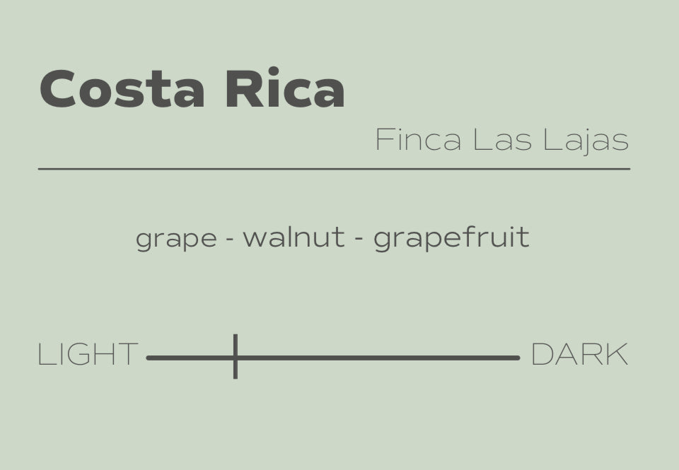 Costa Rica - Honey Processed