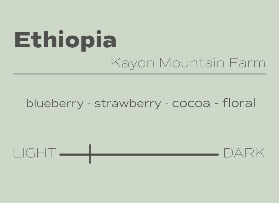 Ethiopia - Natural Process
